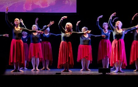 Silver Swans Class Brighouse